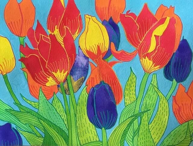 Multi-coloured Tulips